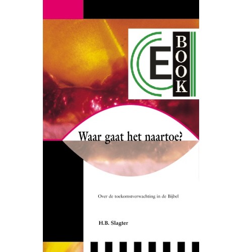 Waar gaat het naartoe (e-book)